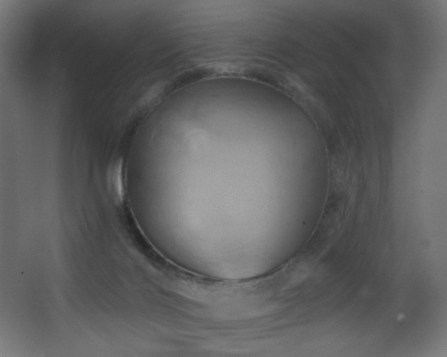 X0000068320028200604211217