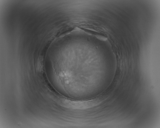 X0000068320030200604211217