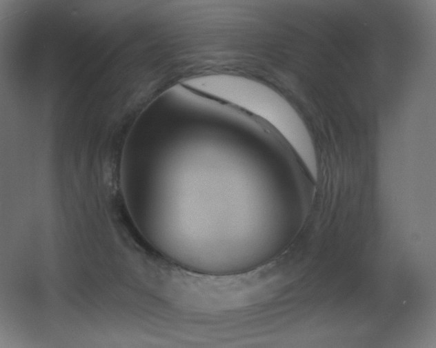 X0000068320031200604211217