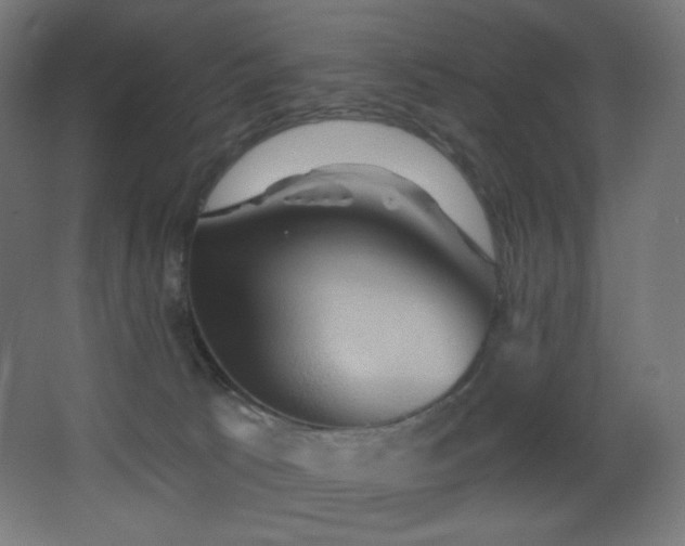 X0000068320033200604211217