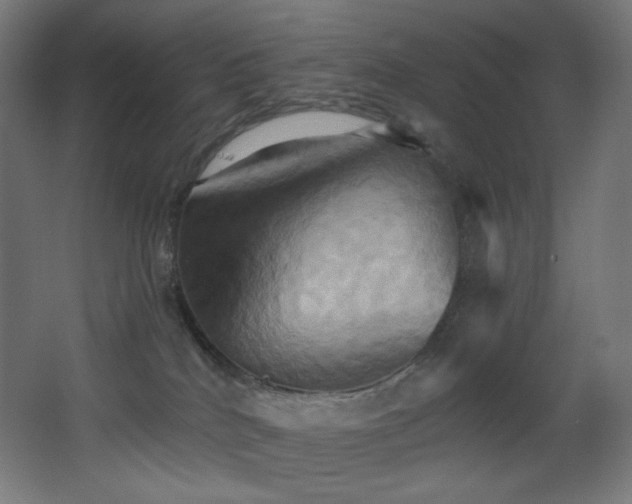 X0000068320040200604211217