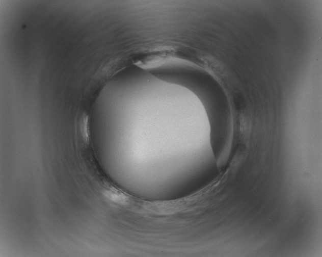 X0000068320041200604211217