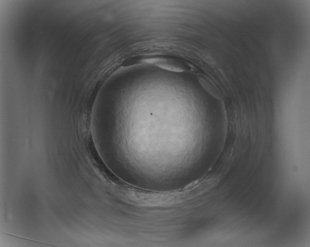 X0000068320044200604211217