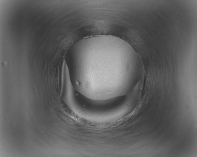 X0000068320045200604211217