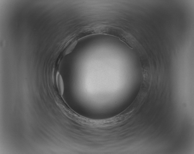 X0000068320046200604211217