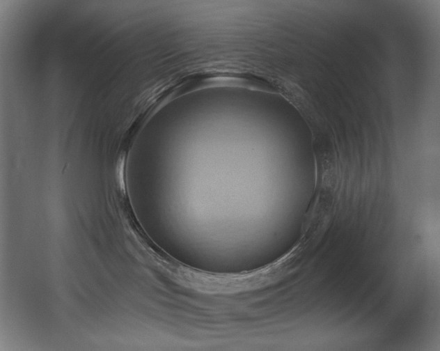 X0000068320047200604211217