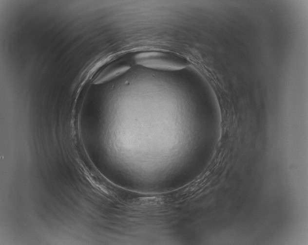 X0000068320050200604211216