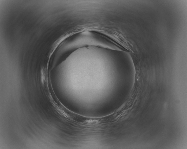 X0000068320052200604211216