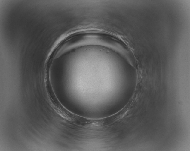 X0000068320056200604211216