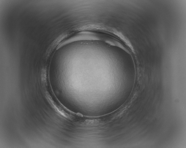 X0000068320057200604211216