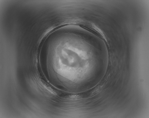 X0000068320059200604211216