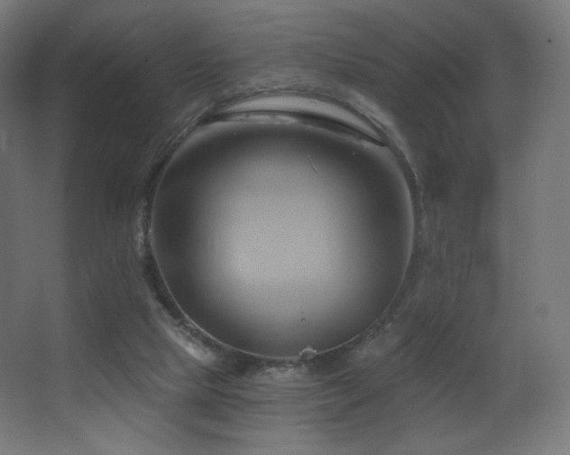 X0000068320065200604211216