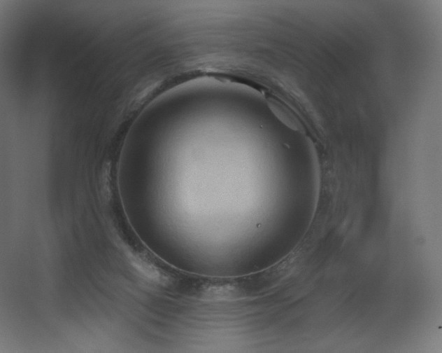 X0000068320066200604211216