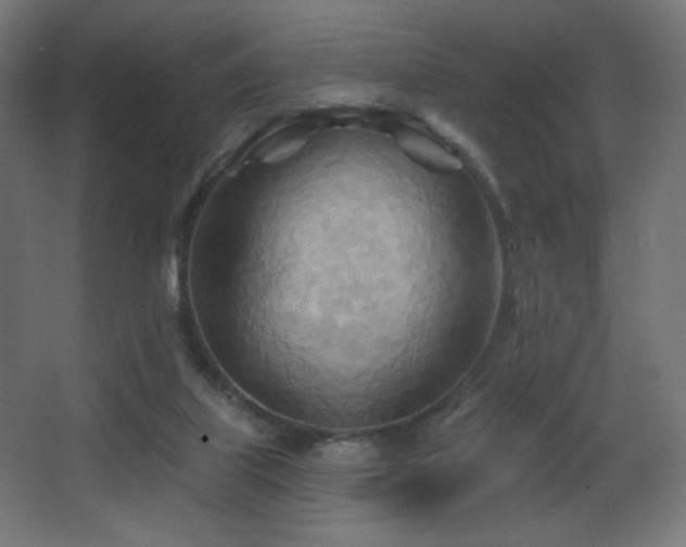 X0000068320067200604211216