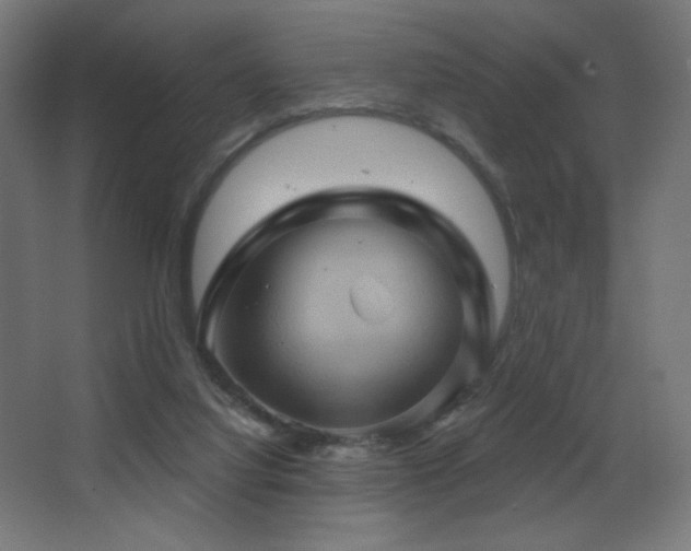X0000068320068200604211216