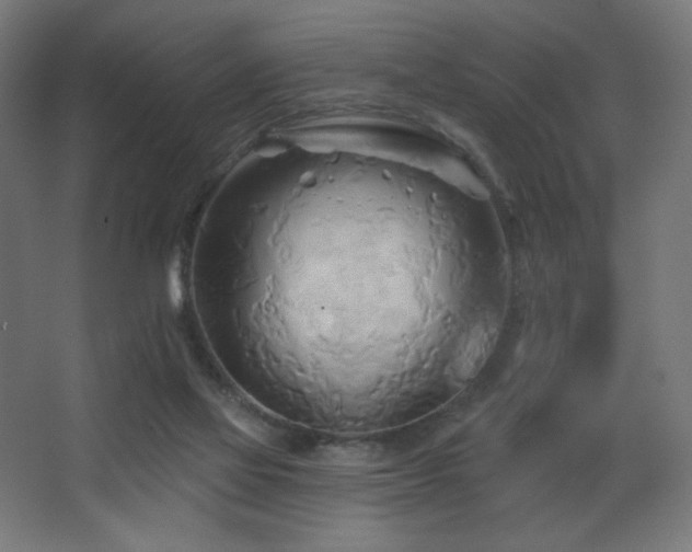 X0000068320069200604211216