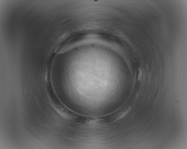 X0000068320072200604211216