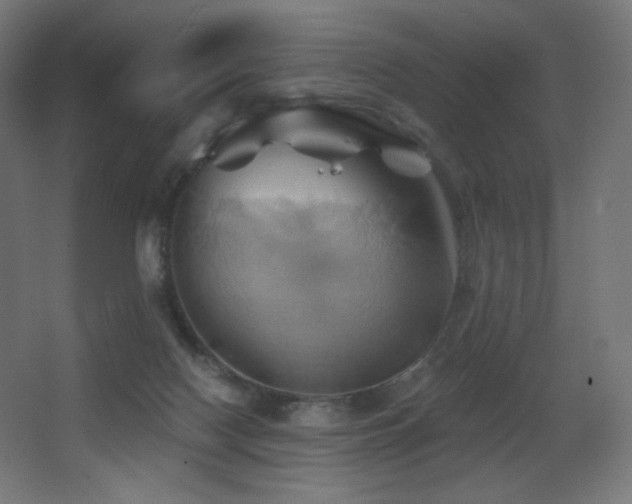 X0000068320074200604211216