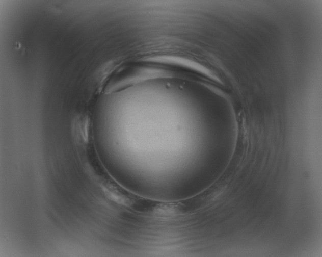 X0000068320076200604211216