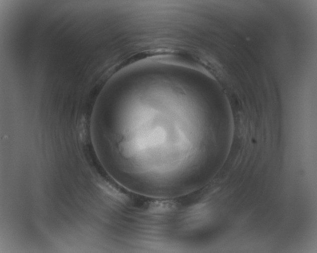X0000068320077200604211216