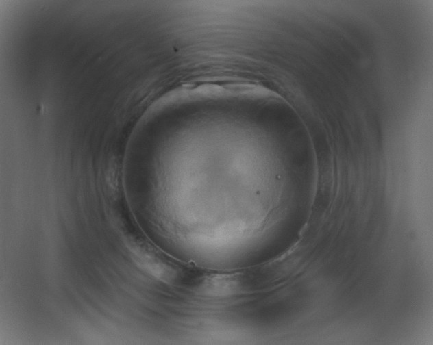 X0000068320078200604211216