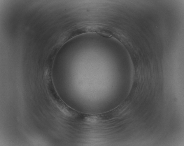 X0000068320079200604211216