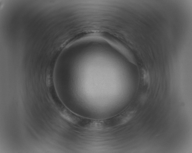X0000068320080200604211216