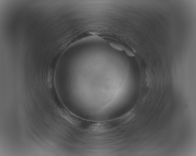 X0000068320082200604211216