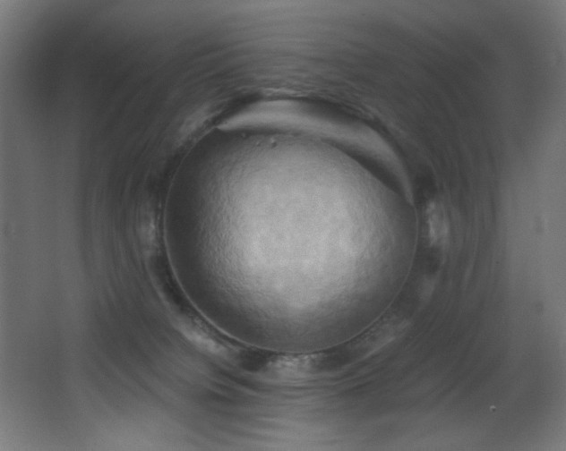 X0000068320084200604211216