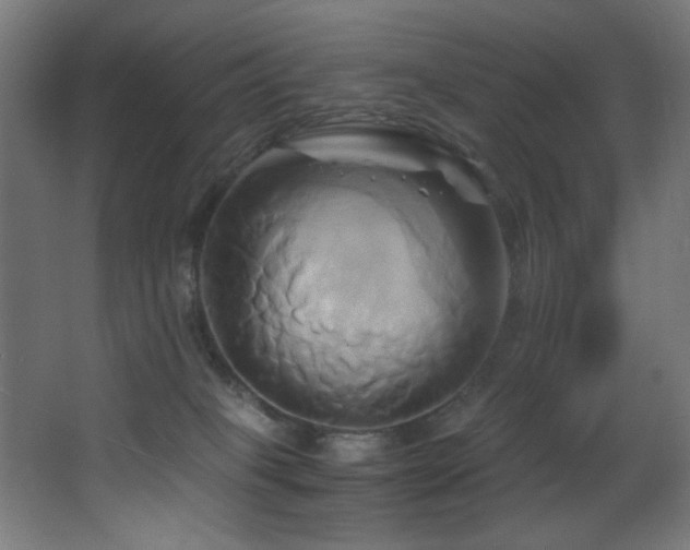 X0000068320085200604211216