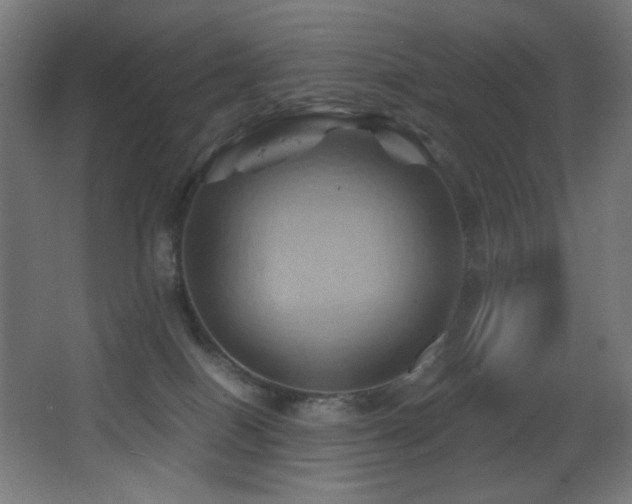 X0000068320086200604211216