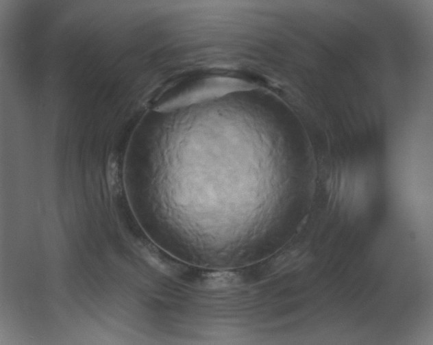 X0000068320087200604211216