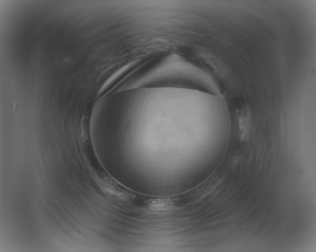 X0000068320088200604211216