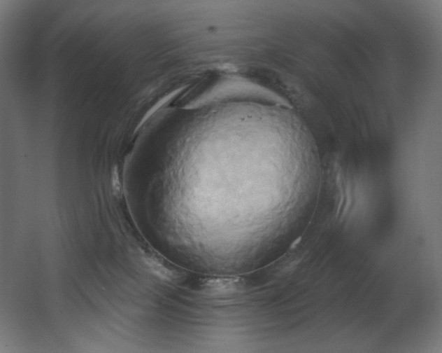 X0000068320089200604211216