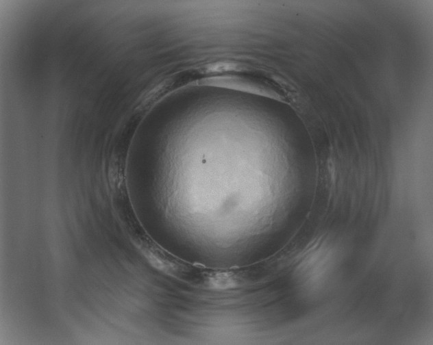 X0000068320091200604211216