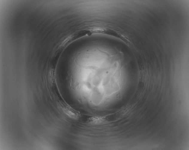 X0000068320093200604211216