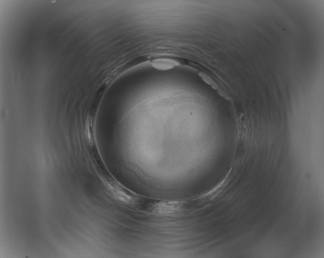 X0000068320094200604211216