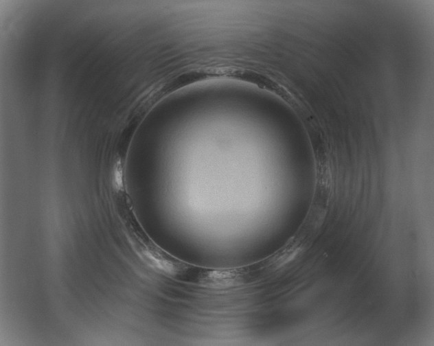 X0000068320095200604211216