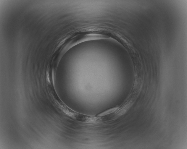 X0000068320096200604211216