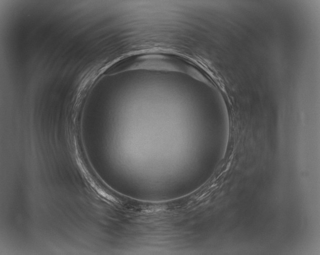 X0000068320097200604211216