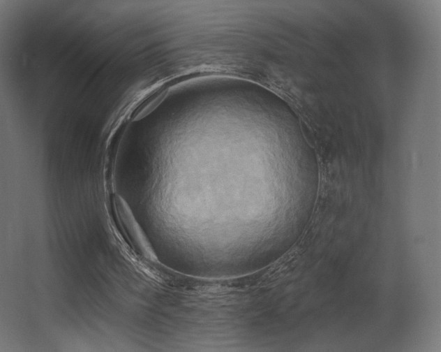 X0000068320098200604211216
