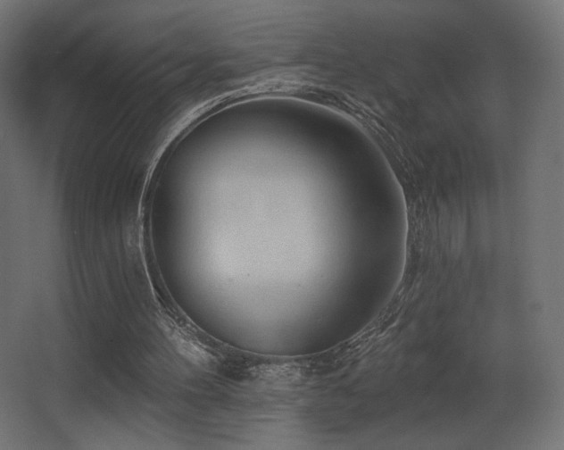 X0000068320100200604211216