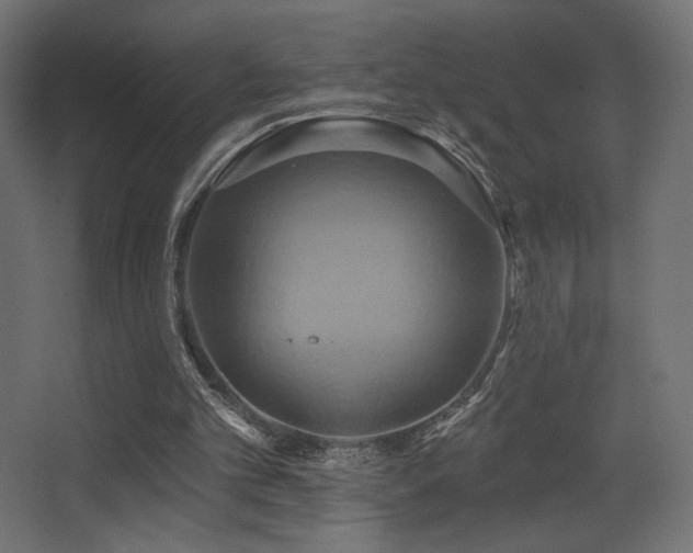 X0000068320101200604211216