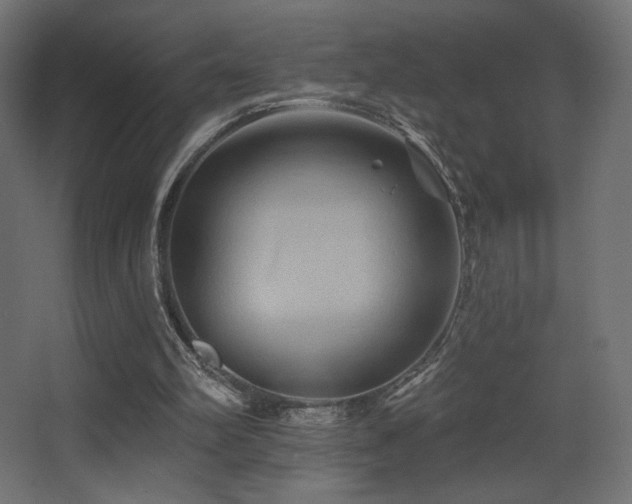 X0000068320102200604211216