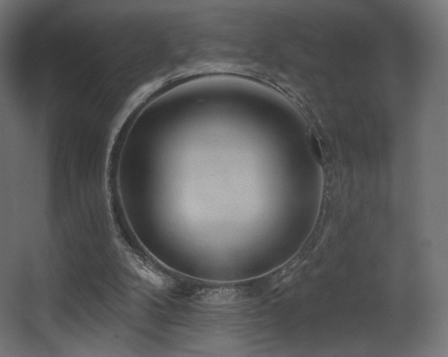 X0000068320104200604211216
