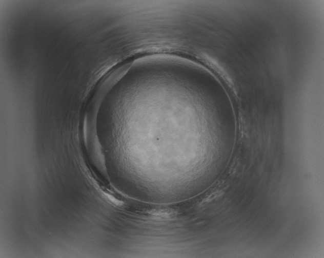 X0000068320105200604211216