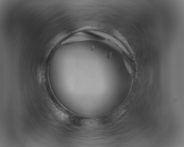 X0000068320106200604211216
