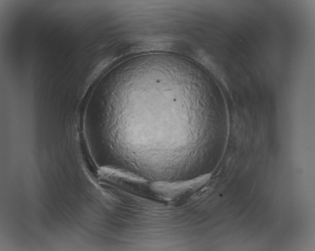 X0000068320107200604211216
