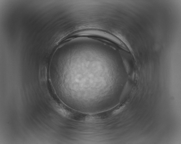 X0000068320109200604211215
