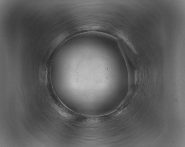 X0000068320110200604211215